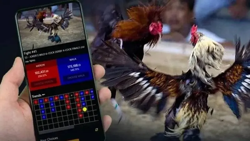 Kinh nghiệm chơi đá gà cựa sắt MB66 hiệu quả